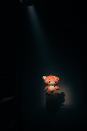 Bearsun Gear 2