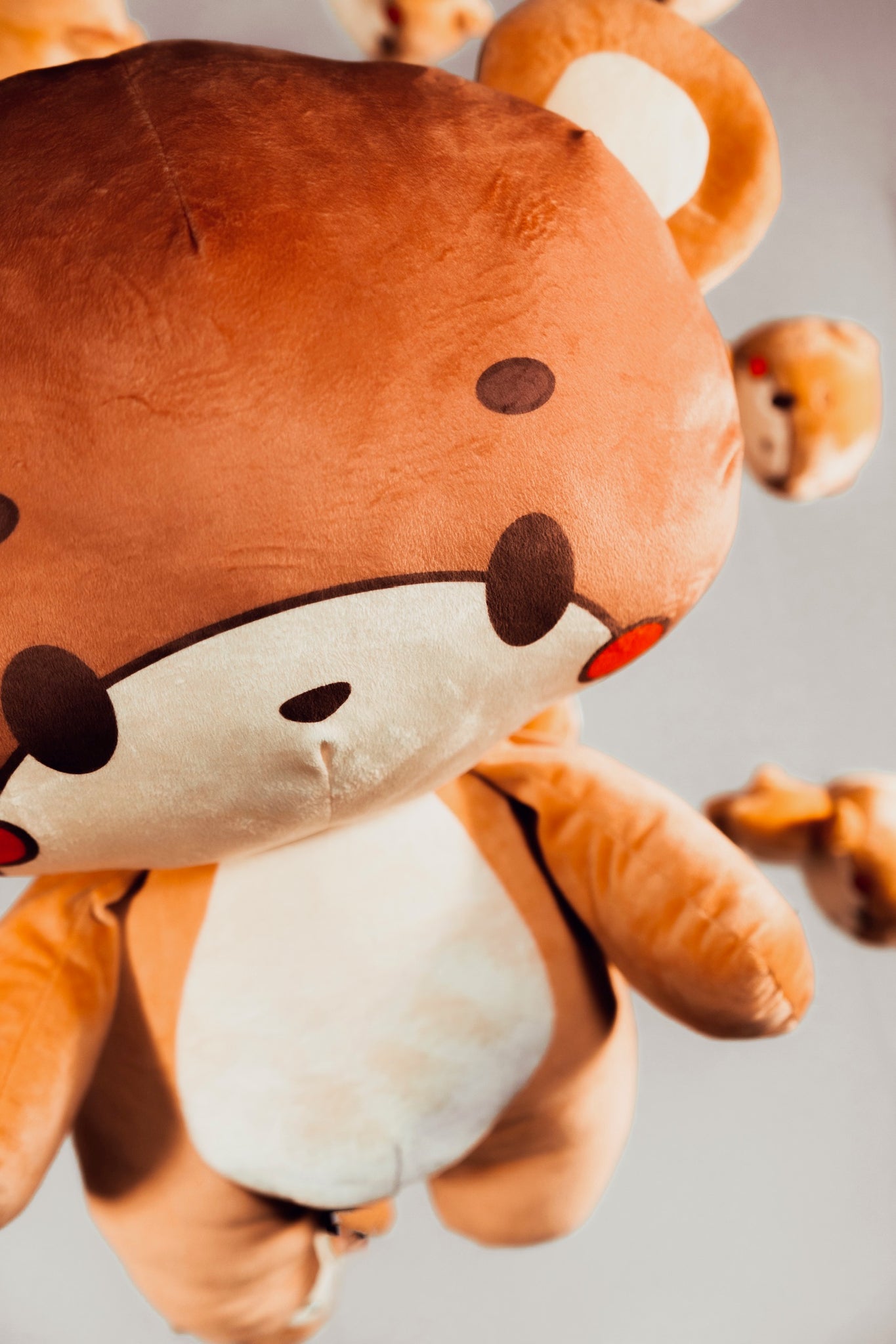 Bearsun Gear 2