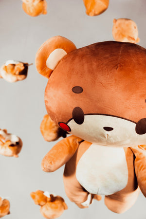 Bearsun Gear 2