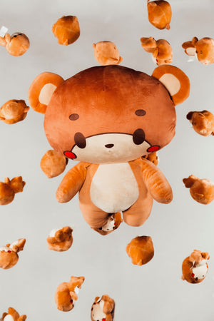 Bearsun Gear 2